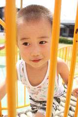 公園のアスレチック遊具で遊ぶ日本の男の子（三才児）