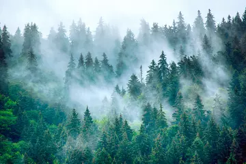 Fotobehang Blauwgroen Mistig berglandschap