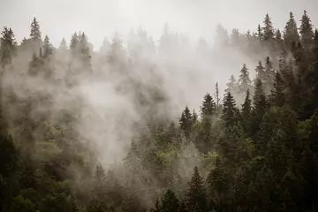Foto auf Alu-Dibond Nebelhafte Berglandschaft © Roxana