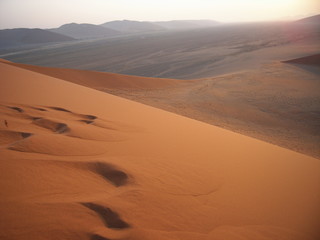 Fototapeta na wymiar Namib Desert in the early morning