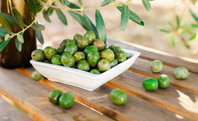 olives on table in an olive grove