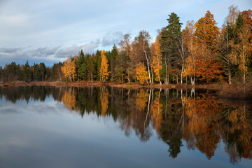 autumn trees reflected in water