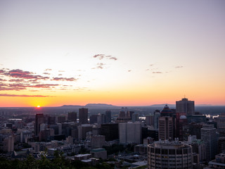 Fototapeta premium Montreal sunrise viewed from Mount Royal with city skyline in the morning