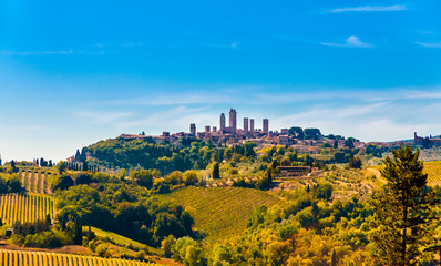 Fototapeta premium Lovely panoramic view of the famous medieval hill town San Gimignano with its stunning towers on a sunny day with a blue sky, surrounded by the typical agricultural countryside in Tuscany, Italy.