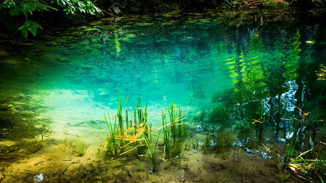 Turquoise water in the woods, Ochiul Beiului, Caras Severin county, Romania