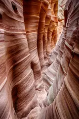Foto auf Glas Zebra Slot Canyon in Utah in den USA © Fyle