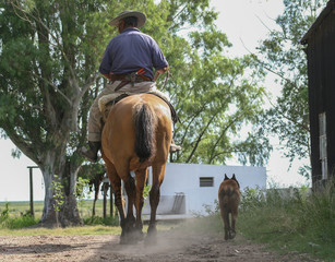 Country man on horseback accompanied by his dog. Argentina.