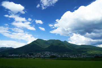 Fototapeta premium 青空と雲と