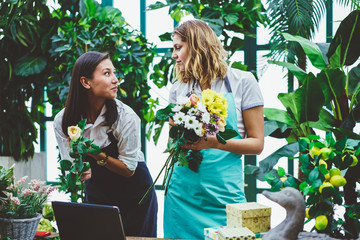 Female colleagues working as florist in botanic orangery cooperating during creating floral...