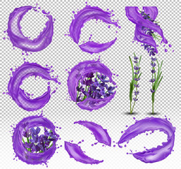 Collection violet lavender with water drops. Splashes water on lavender. Aroma oil lavender. Tender bouquet of lavender. 3D realistic vector illustration.