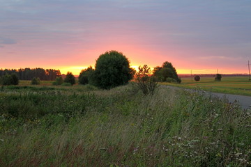 Exceptional beauty of summer nature. Unique image of the environment