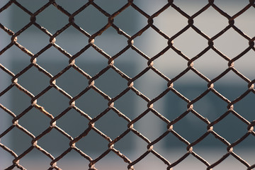 Fototapeta premium rusty wire mesh in the balcony railing