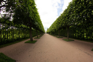 St. Petersburg. Cities of Russia. Petersburg architecture. Petersburg parks and recreation areas. Summer in St. Petersburg. Travel across Russia.
