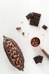 Cocoa pod with cocoa beans and pieces of chocolate on a white background. Organic food. Natural...