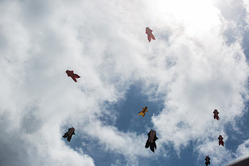 Bali, Indonesia august-17 th 2020. independence day. social events on the beach in kuta. kite festival. surfing competition among juniors. Bali, Indonesia