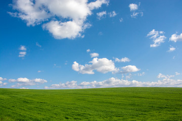Fototapeta na wymiar 緑の草原と青空に浮かぶ雲 