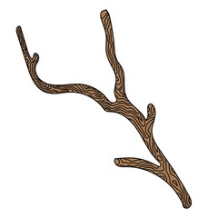 Isolated brown branch with bark without leaves on a white background stylized.