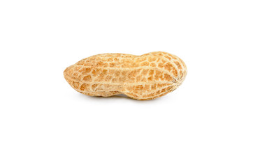 Single roasted peanut isolated against white background. Studio macro shot on white background
