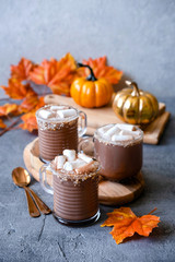 Hot chocolate with marshmallows. The concept of cosy holidays and New Year. Winter time and autumn time. Holiday concept.