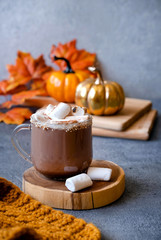 Obraz na płótnie Canvas Hot chocolate with marshmallows. The concept of cosy holidays and New Year. Winter time and autumn time. Holiday concept.