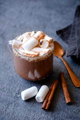 Hot chocolate with marshmallows. The concept of cosy holidays and New Year. Winter time and autumn time. Holiday concept.