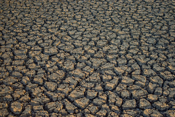 cracked soil cracked soil from Thailand country