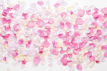 Fototapeta na wymiar Pink rose flowers petals on white background. Flat lay, top view, copy space.