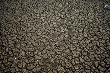 cracked soil cracked soil from Thailand country