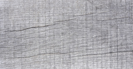 Backdrop from aged wood surface