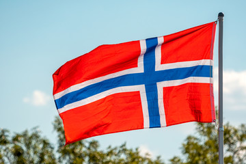 Norway flag with a nature background