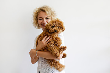 Adorable toy poodle puppy in arms of its loving owner. Small adorable doggy with funny curly fur...