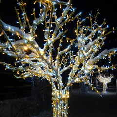 christmas tree in snow