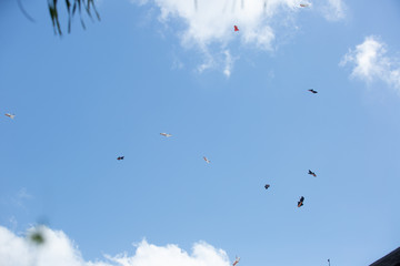 Bali, Indonesia august-17 th 2020. independence day. social events on the beach in kuta. kite festival. surfing competition among juniors. Bali, Indonesia