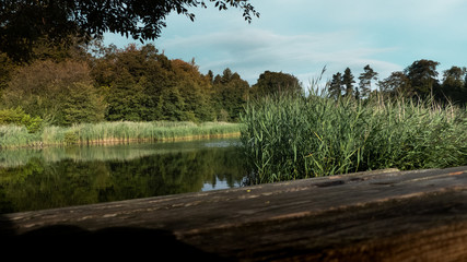 Stanton lake bench view