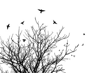 The silhouette of a tree with flying birds. Vector illustration