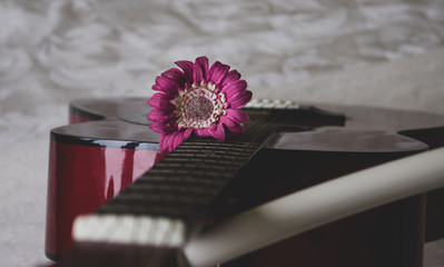 guitar and flower