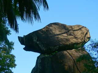 Seychelles, Indian Ocean, Mahe island, west coast road, , the pig's head rock
