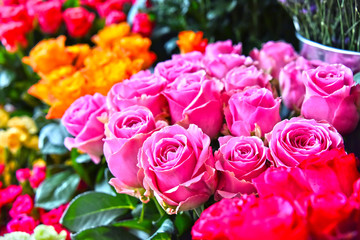 Roses in flower shop.