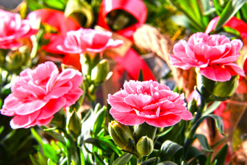 Composition with bouquet of carnations