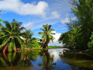 Obraz premium Seychelles, Indian Ocean, Mahe Island, west coast, Anse Soleil beach