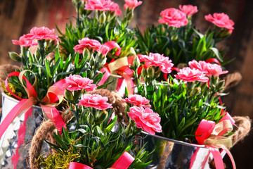 Composition with bouquet of carnations