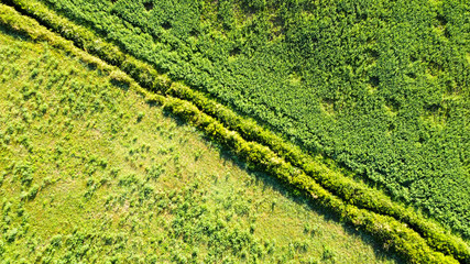 Zenit picture from drone of green fields separated along the diagonal by a little river