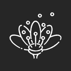 Naklejka premium Pollen chalk white icon on black background. Natural flowers reproduction. Pollination process, seasonal allergy, beekeeping. Blooming flower bud in blossom isolated vector chalkboard illustration