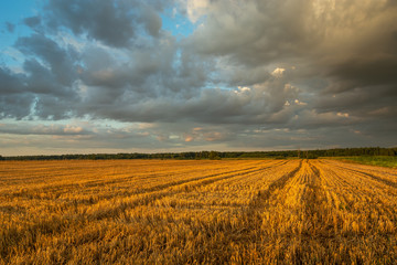 Cloudy evening sky over stubble, summer countryside view