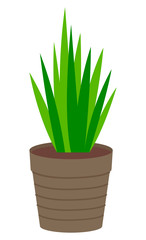 Pot with houseplant isolated at white background. Vector flowerpot of decorative green plant with long leaves in ceramic pot. Indoor plant concept of domestic greenery. Icon for home interior plant