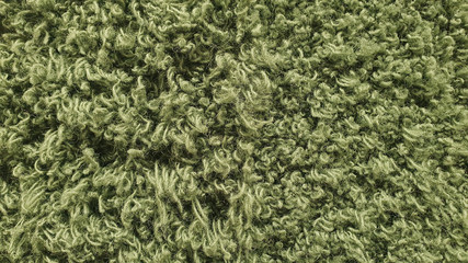 background of artificial green fur carpet. interior floor covering ,long wool ,material background.