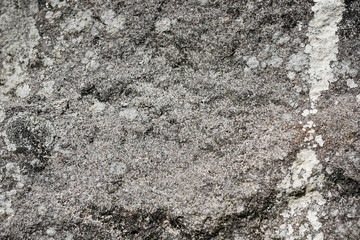 Stone texture