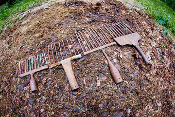 A set of ancient poaching tools for fishing - hooks and forks