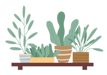 Set of green indoor houseplants and flowers in pots icons on white. Plants growing in pots or planters. Collection of beautiful natural home and office decorations. Trendy vector in flat cartoon style