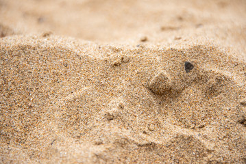 Fototapeta na wymiar Natural sand texture close up as background